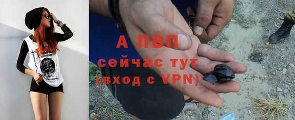 твердый Алексеевка