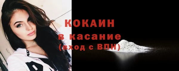 твердый Алексеевка