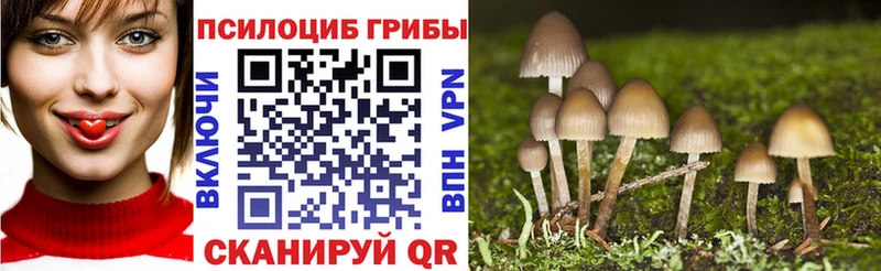Псилоцибиновые грибы Psilocybe  Красноярск 